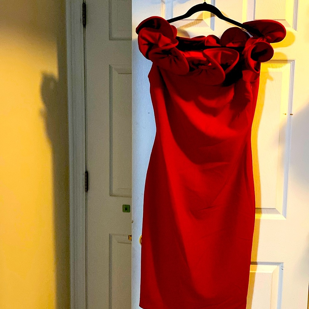 Alberto makali size 8 red dress.  Never worn